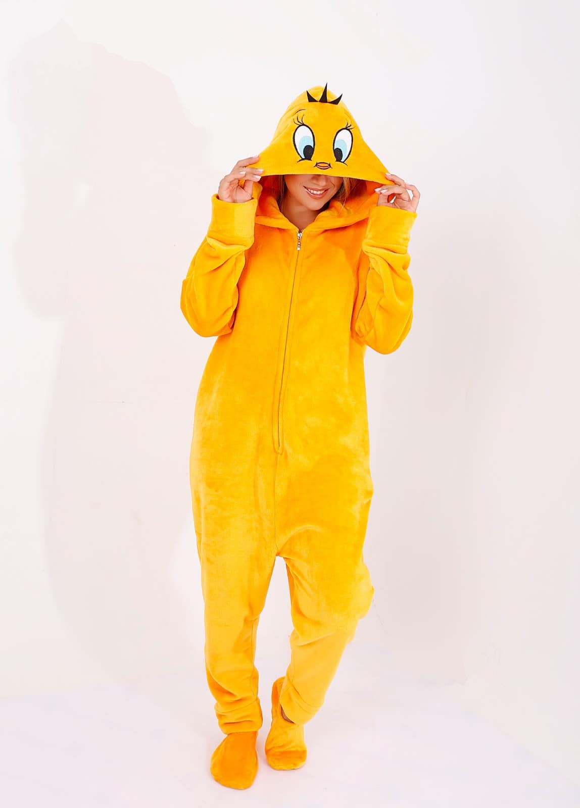 Sylvester or Tweety Onesie