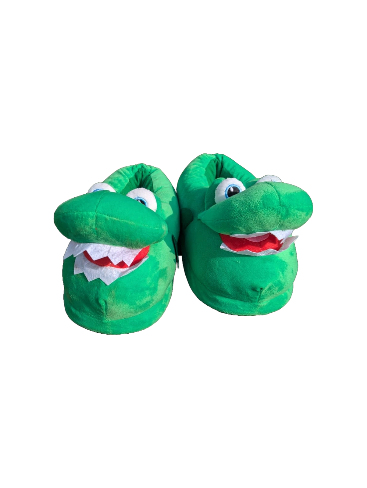 Dinosaur Pantoflle (Slippers)