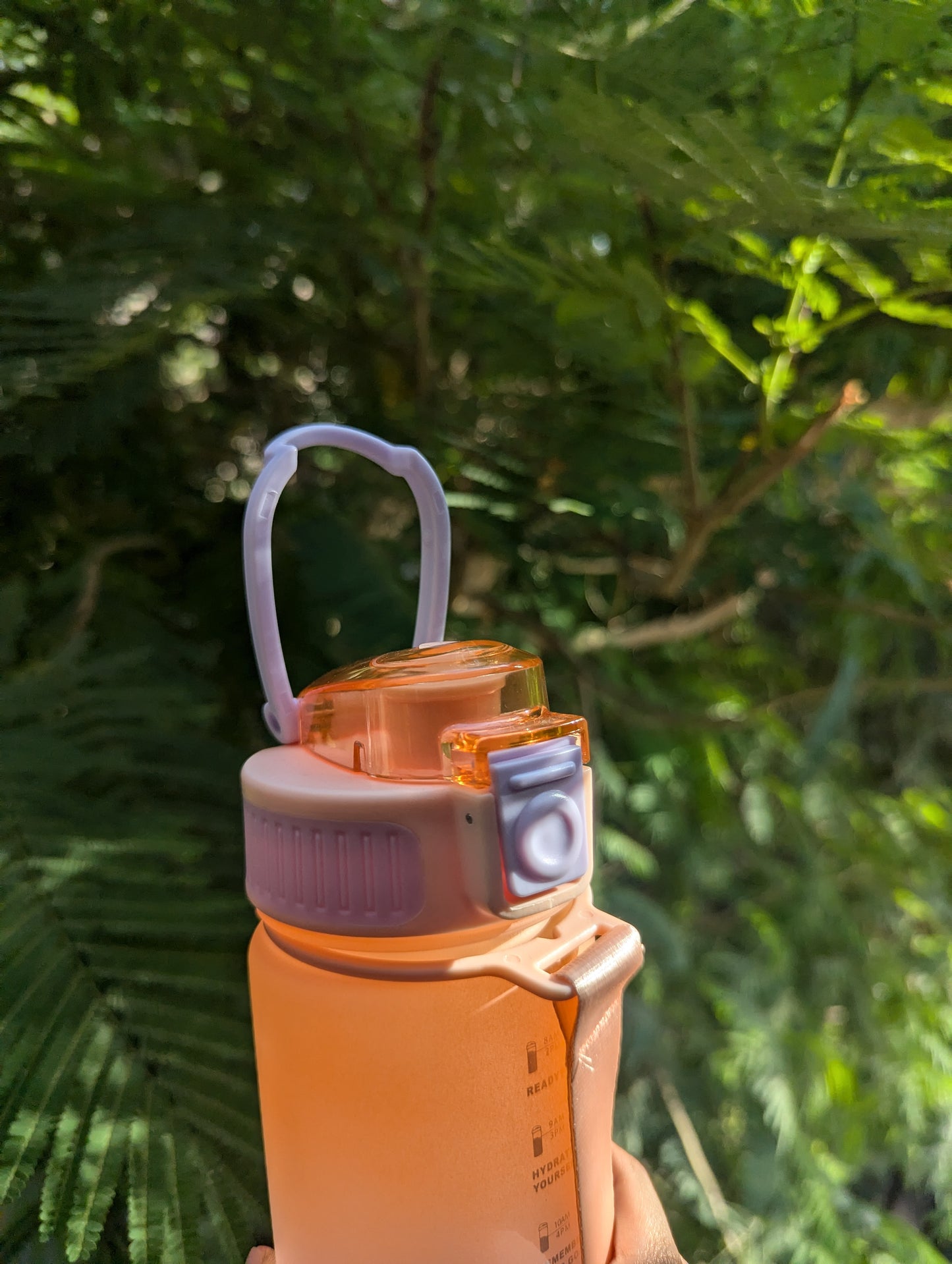 550ml motivational bottle