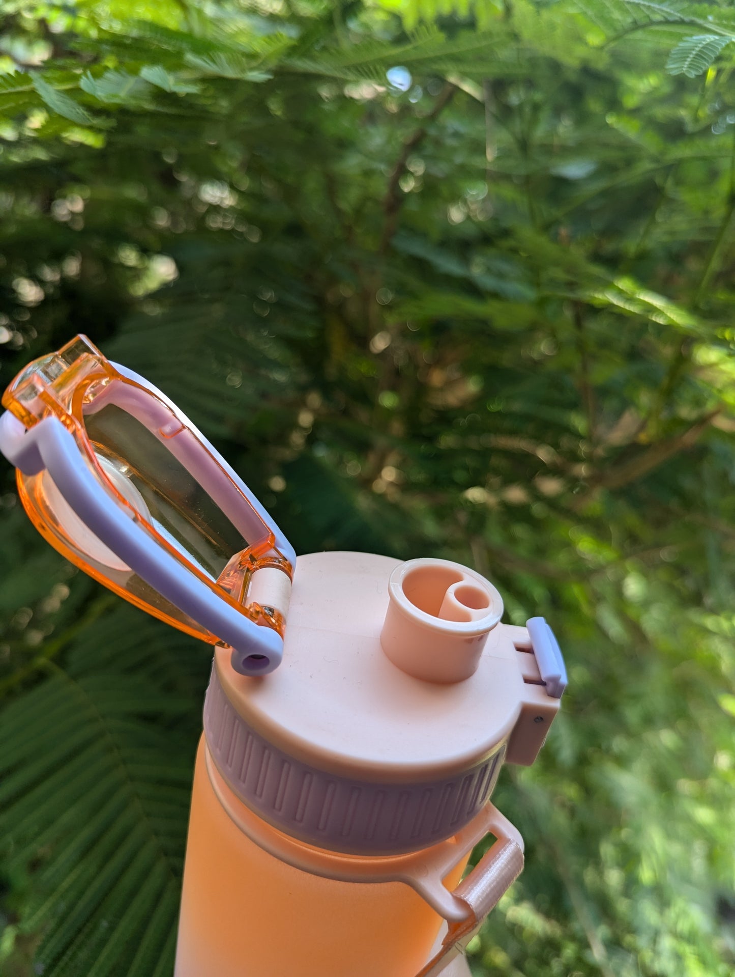 550ml motivational bottle
