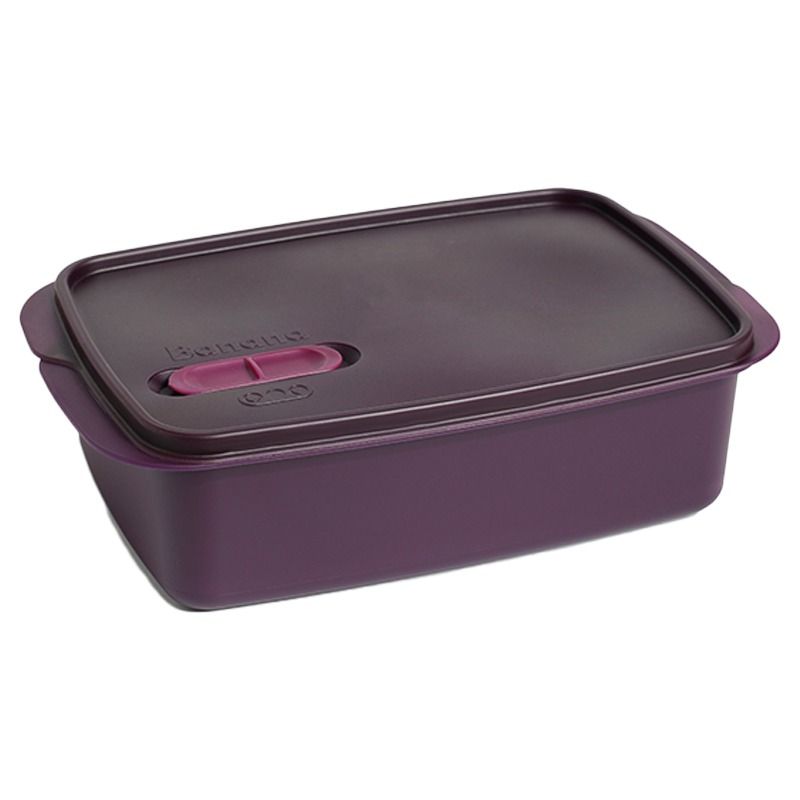 2 layer plastic 1.5 lunchbox