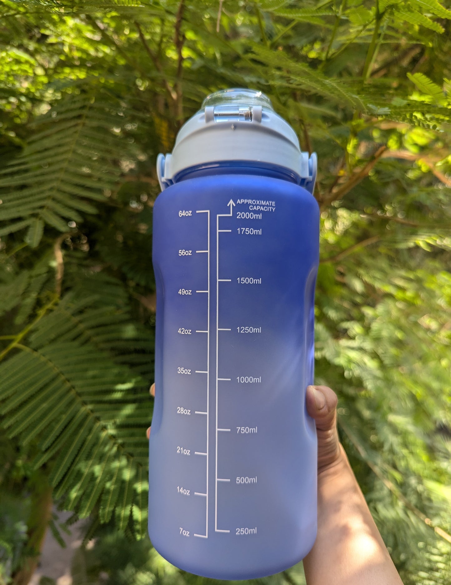 2 litre motivational bottle