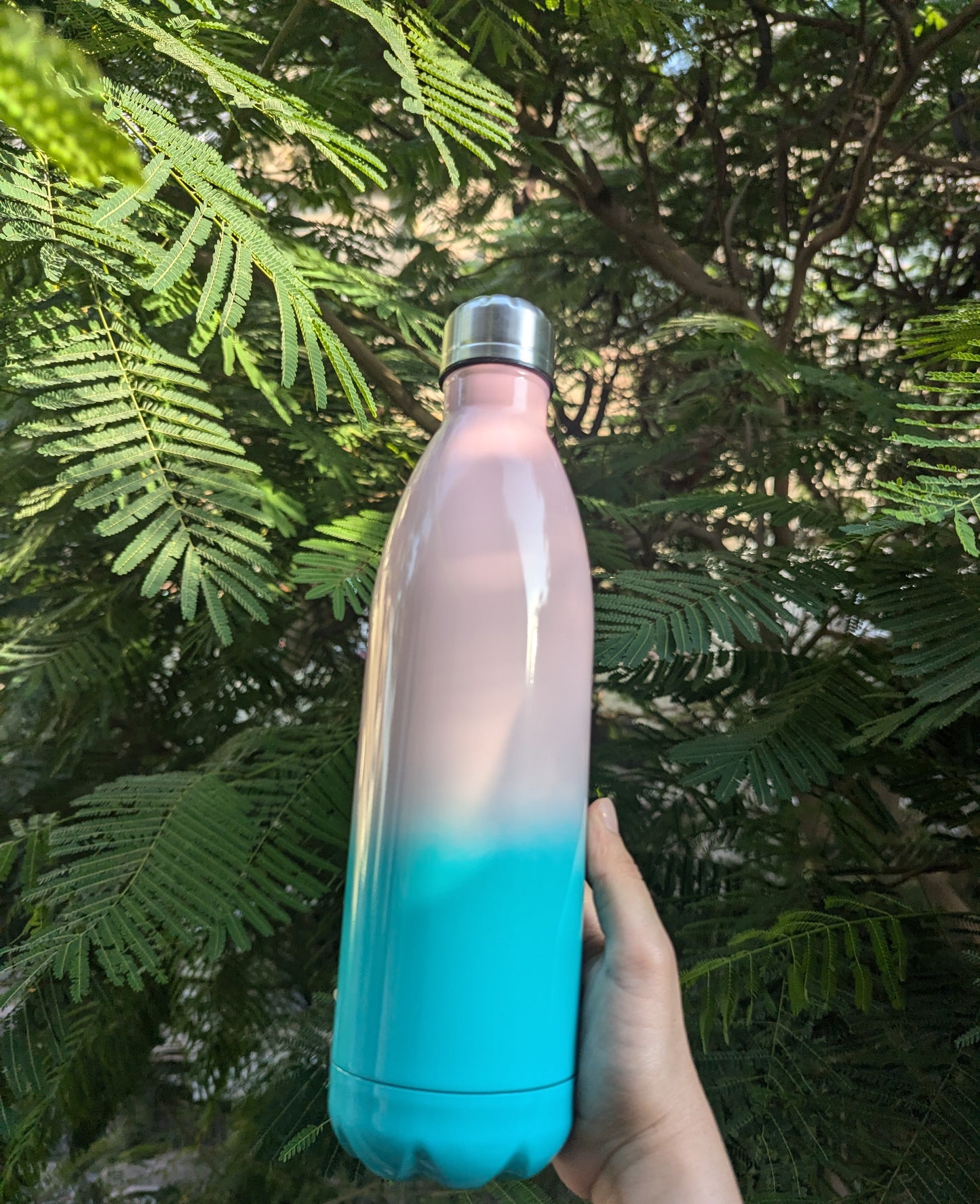 750ml stainless steel bottle
