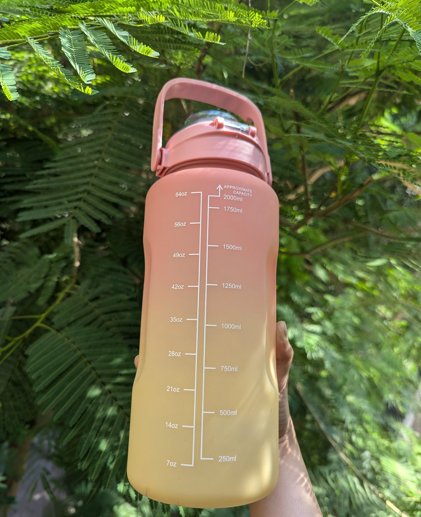 2 litre motivational bottle